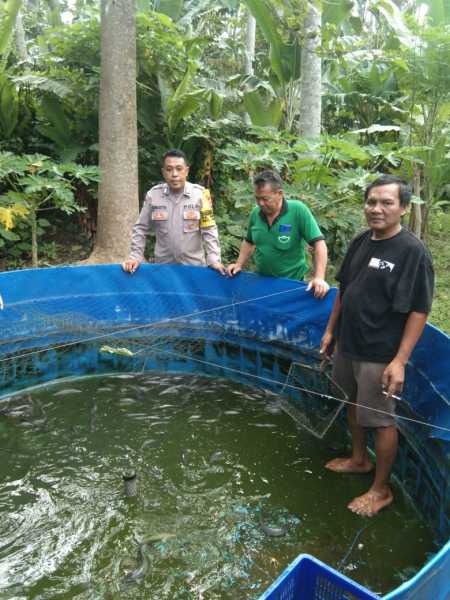 Gambar